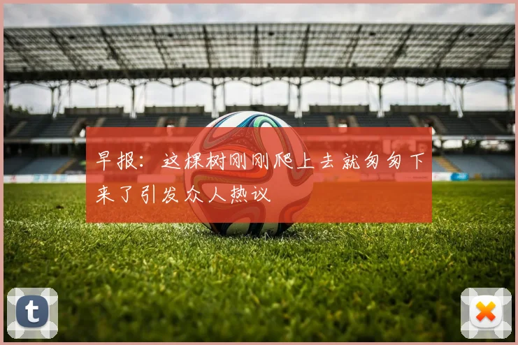 早报：这棵树刚刚爬上去就匆匆下来了引发众人热议
