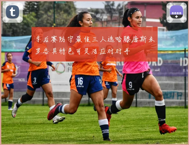 季后赛防守最佳三人选哈滕唐斯米罗各具特色可灵活应对对手