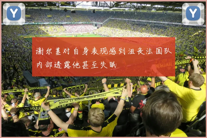 谢尔基对自身表现感到沮丧法国队内部透露他甚至失眠